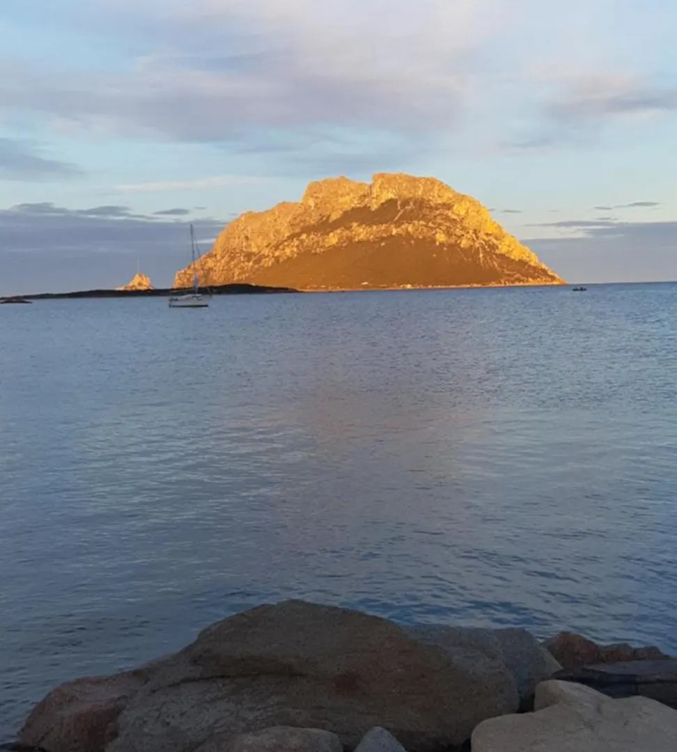 Raggio Di Sole - Olbia Lejlighed
